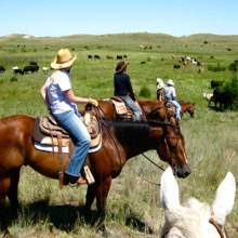 Horse Ranch Vacation